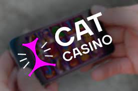 Стартуйте играть в игровые автоматы на CatCasino уже сегодня